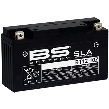 BATERIA ZONTES 310 BS BATTERY