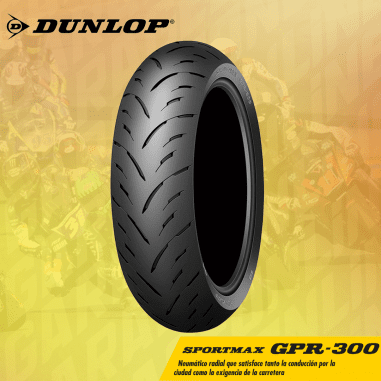 GPR300 150/70ZR-17 M/C (69W) Neumático Dunlop
