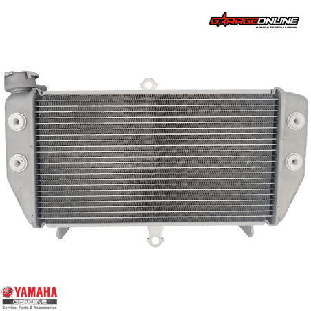 RADIADOR YAMAHA MT-03 MT-03A GENUINO - Envío a todo el País