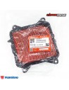 FILTRO DE AIRE HAOJUE NK150 GENUINO