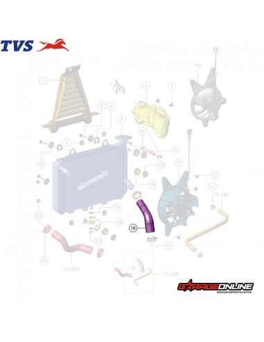 MANGUERA SALIDA RADIADOR BMW G 310 R - G 310 GS - TVS APACHE 310 - GENUINO