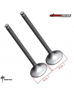 VALVULAS ESCAPE ZONTES 310 T,R,V,X GENUINA