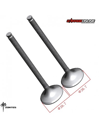 VALVULAS ESCAPE ZONTES 310 T,R,V,X GENUINA