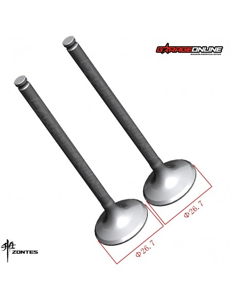 VALVULAS ESCAPE ZONTES 310 T,R,V,X GENUINA