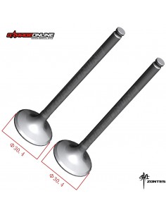 VALVULAS ADMISION ZONTES 310 T,R,V,X GENUINA