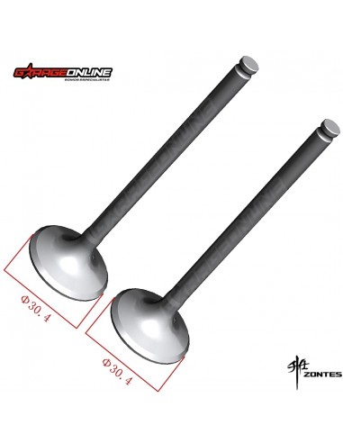 VALVULAS ADMISION ZONTES 310 T,R,V,X GENUINA