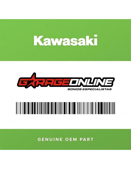 PEDIDO BODEGA KAWASAKI