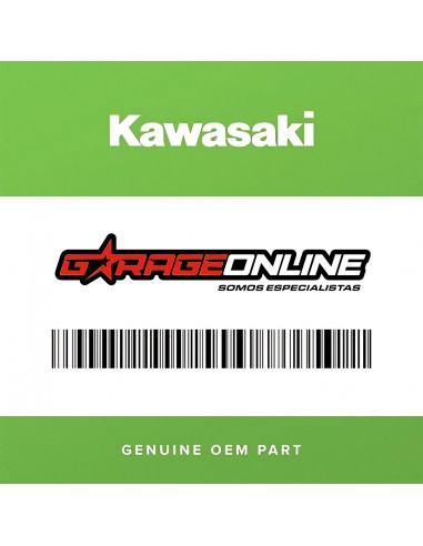 PEDIDO BODEGA KAWASAKI