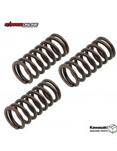 RESORTES EMBRAGUE KAWASAKI NINJA 400 - Z 400 GENUINOS