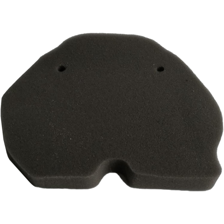 FILTRO DE AIRE BENELLI TNT 300 - TNT 302 S - 302R PROTECH