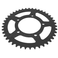 CATALINA 42 DIENTES ZONTES