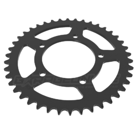 CATALINA 42 DIENTES ZONTES